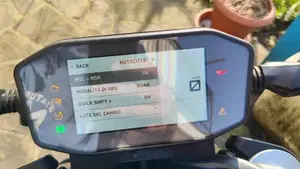 KTM 790 Duke L (2023 - 24)  (14)