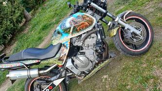 Honda Hornet 600 (2000 - 02) usata