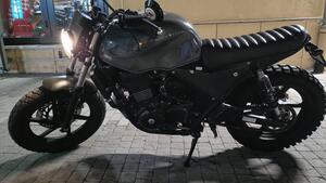 Honda CB 500 S (1997 - 04) 