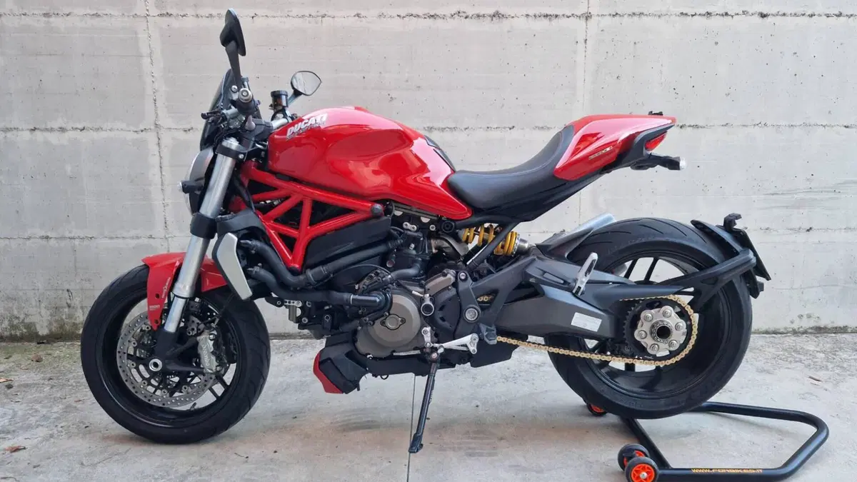 Ducati Monster 1200 (2014 - 16)  (4)