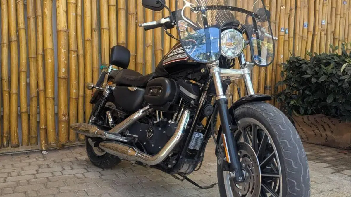 Harley-Davidson 883 R (2008 - 16) - XL 883R  (6)
