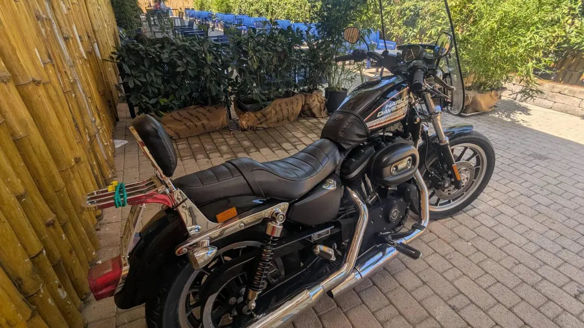 Harley-Davidson 883 R (2008 - 16) - XL 883R  (7)