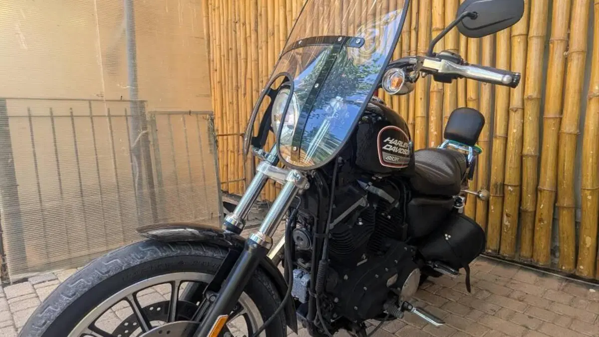 Harley-Davidson 883 R (2008 - 16) - XL 883R  (8)
