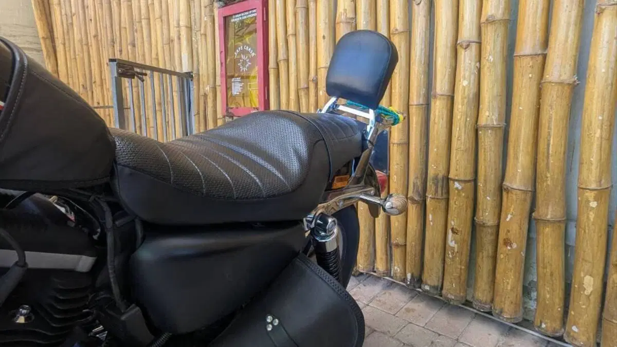 Harley-Davidson 883 R (2008 - 16) - XL 883R  (9)