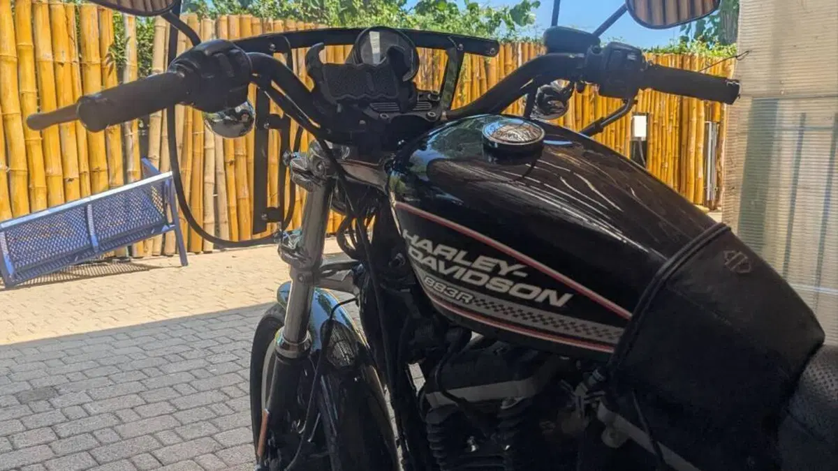Harley-Davidson 883 R (2008 - 16) - XL 883R  (10)