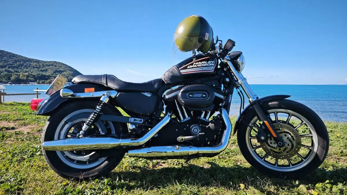 Harley-Davidson 883 R (2008 - 16) - XL 883R  (18)