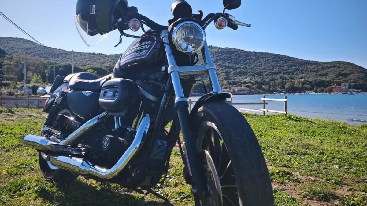Harley-Davidson 883 R (2008 - 16) - XL 883R  (19)
