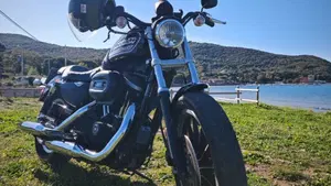 Harley-Davidson 883 R (2008 - 16) - XL 883R  (19)