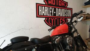 Harley-Davidson 1200 Forty-Eight (2010 - 15) 