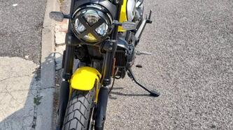 Ducati Scrambler 800 Icon (2021 - 22) usata