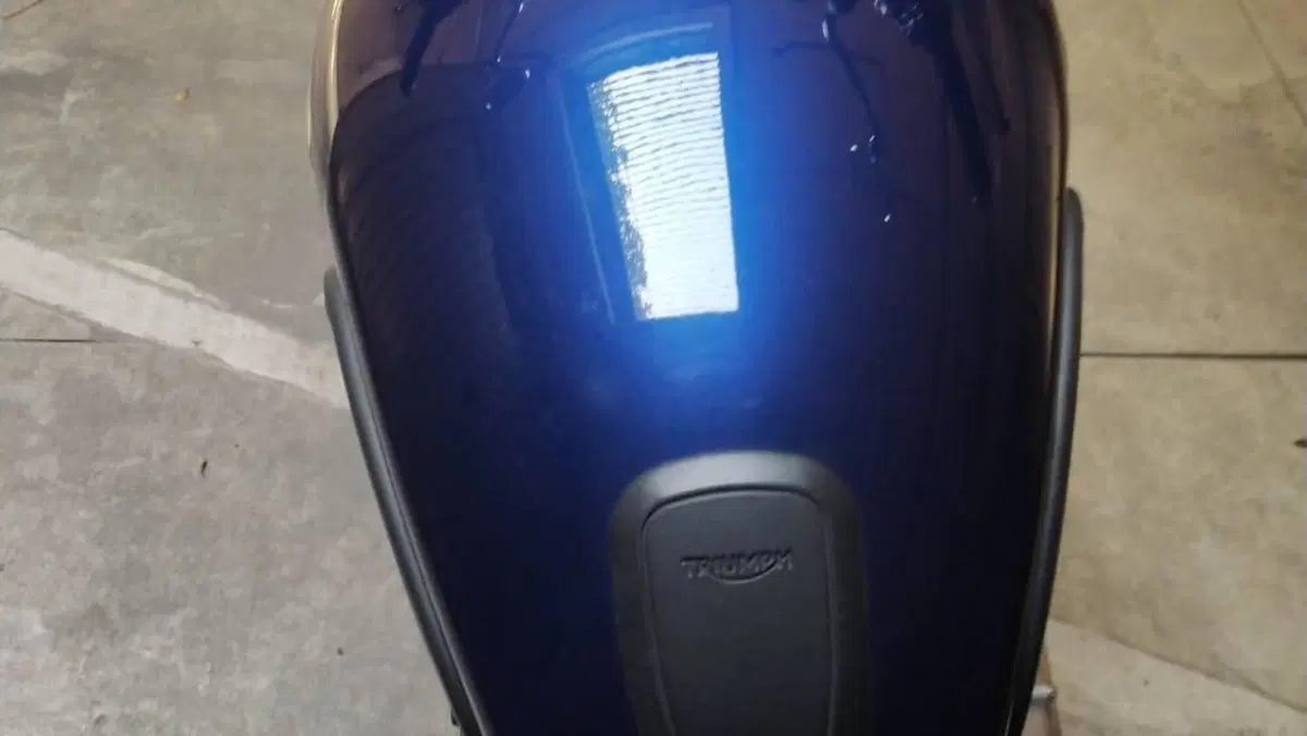 Triumph Bonneville SE (2009 - 13)  (9)