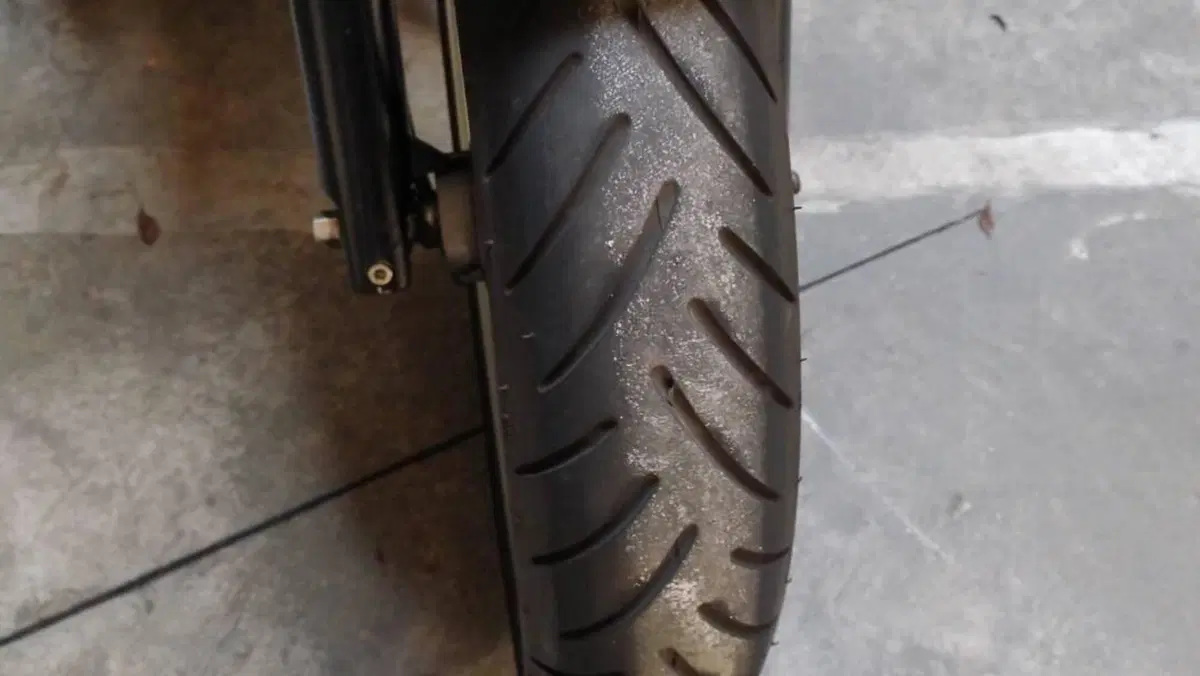 Triumph Bonneville SE (2009 - 13)  (12)
