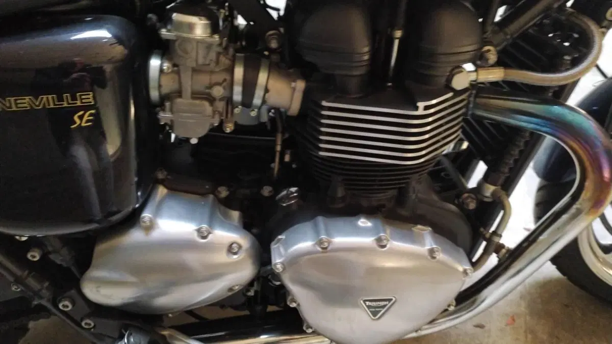 Triumph Bonneville SE (2009 - 13)  (13)