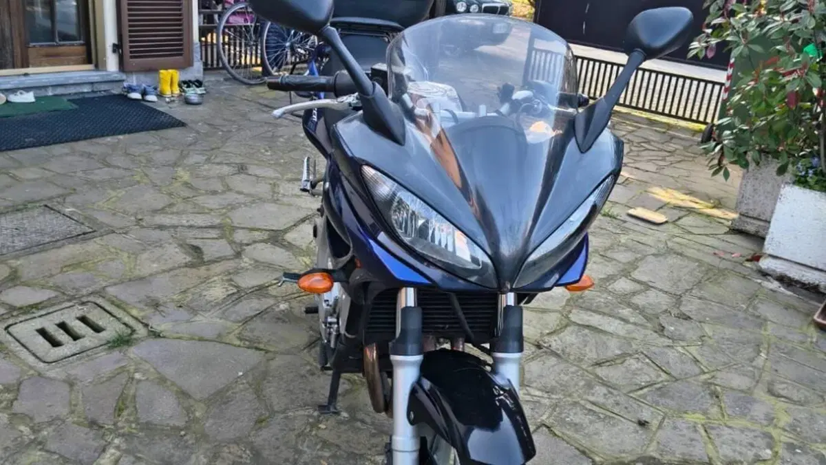 Yamaha FZ6 Fazer (2004 - 07)  (4)