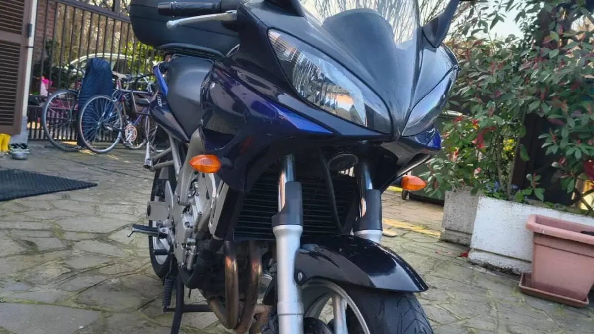 Yamaha FZ6 Fazer (2004 - 07)  (8)