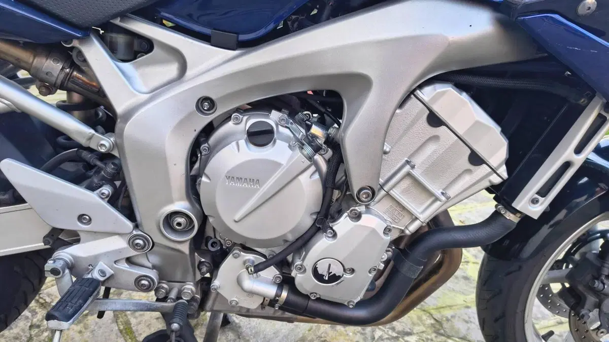 Yamaha FZ6 Fazer (2004 - 07)  (6)
