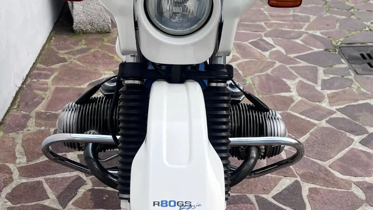 Bmw R 80 GS Basic (1996 - 97)  (7)