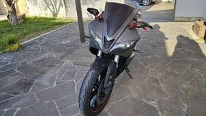 Yamaha YZF R125 (2014 - 16) 