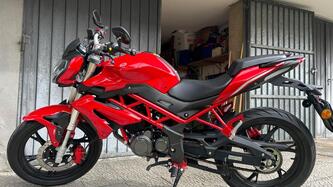 Benelli BN 125 (2018 - 20) usata