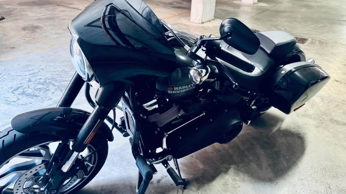 Harley-Davidson Sport Glide (2021 - 25)  (2)