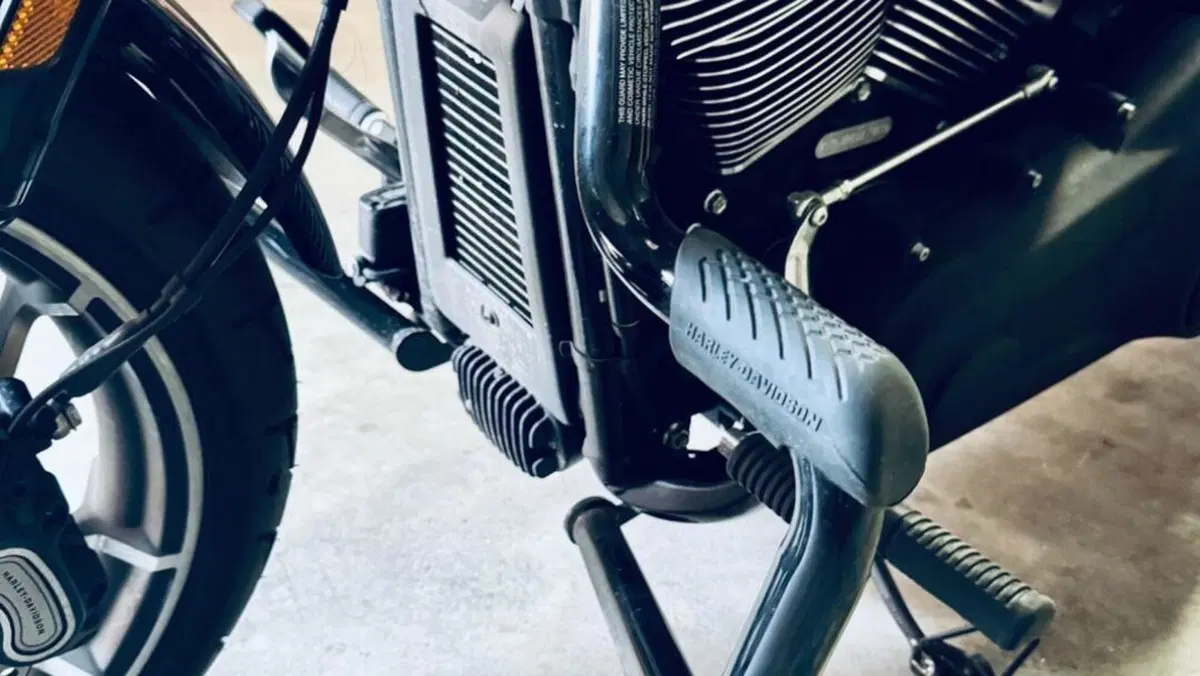 Harley-Davidson Sport Glide (2021 - 25)  (4)