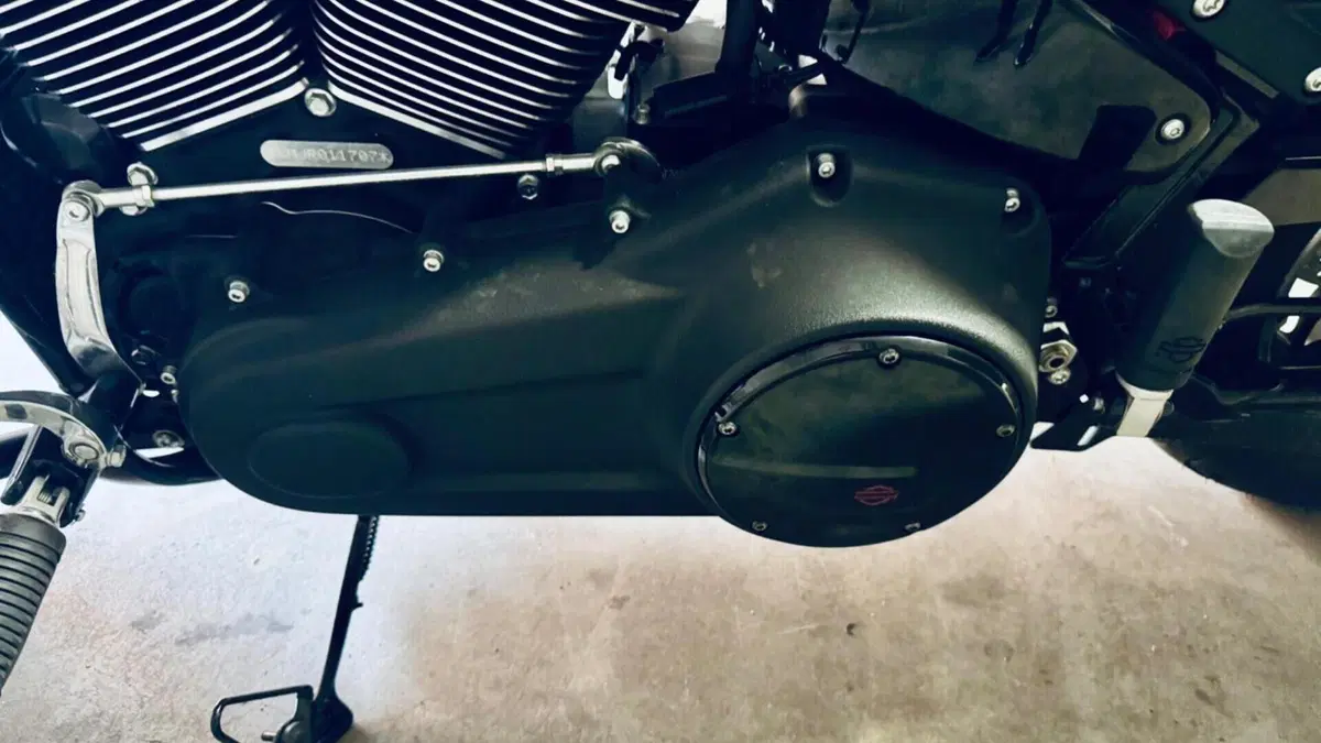 Harley-Davidson Sport Glide (2021 - 25)  (5)