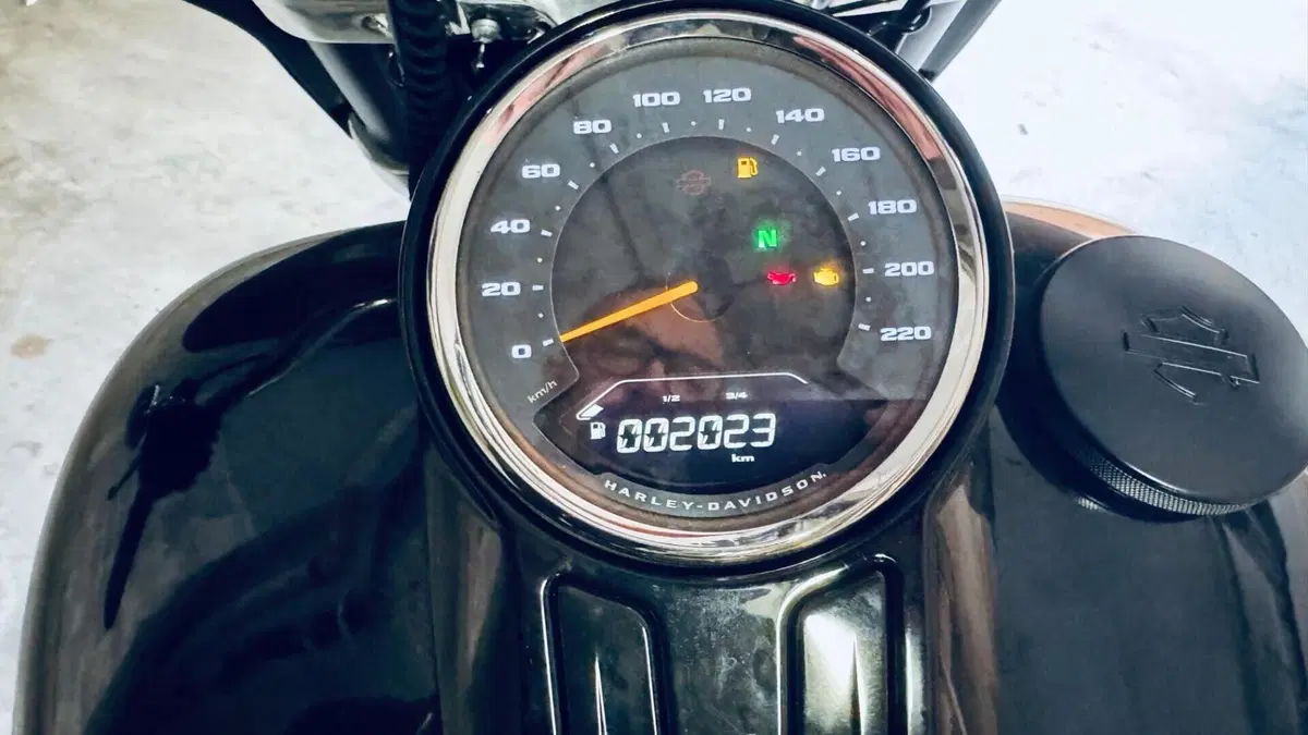 Harley-Davidson Sport Glide (2021 - 25)  (8)