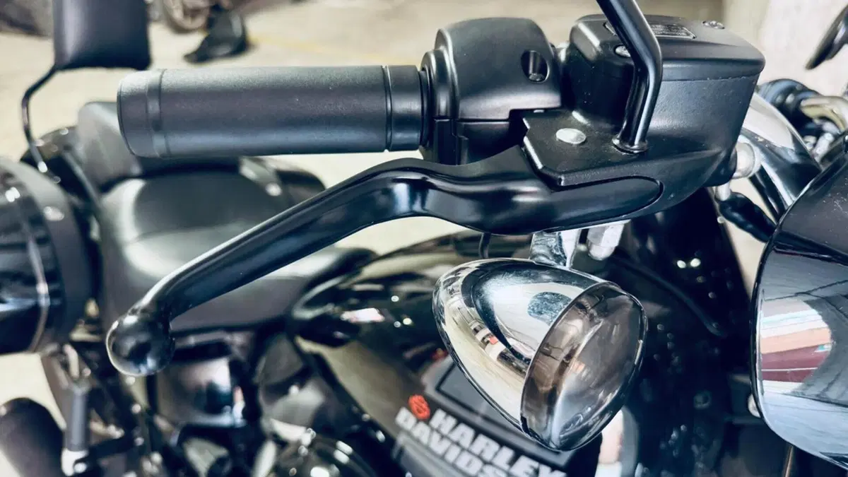 Harley-Davidson Sport Glide (2021 - 25)  (12)