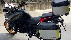 QJ Motor SRT 800 SX (2024 - 25) 