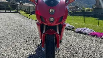 Ducati 999 (2005 - 06) usata