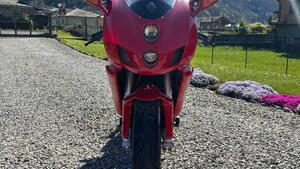 Ducati 999 (2005 - 06) 