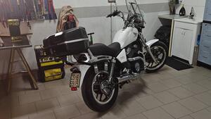 Honda VT 500 E (1985 - 86) 