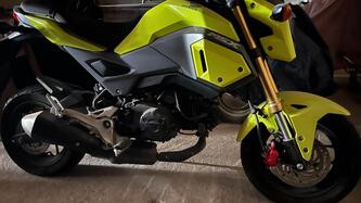 Honda MSX 125 (2016 - 17) usata