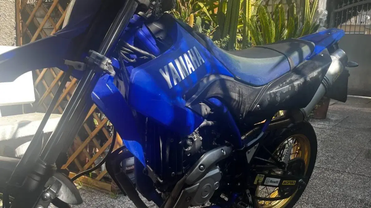 Yamaha WR 125 X (2009 - 16)  (3)