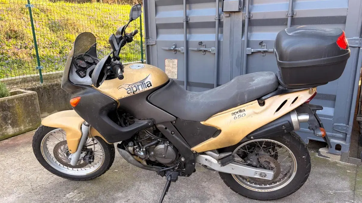 Aprilia Pegaso 650 IE (2001 - 02) 