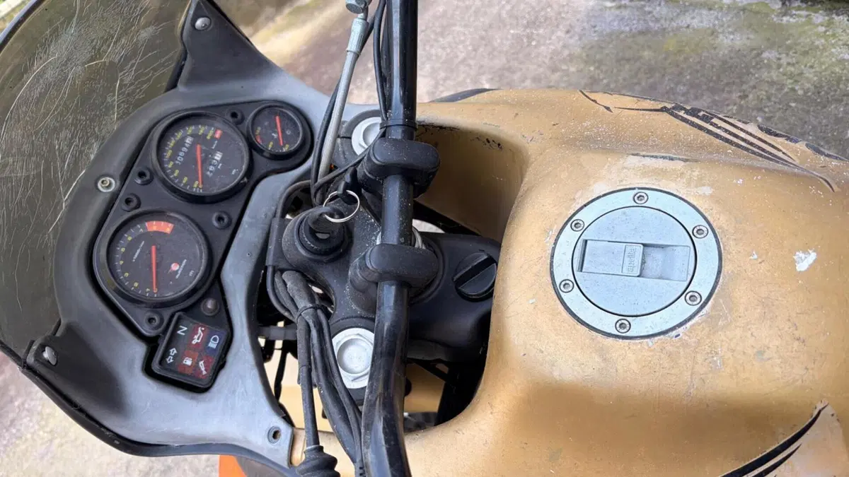 Aprilia Pegaso 650 IE (2001 - 02)  (3)