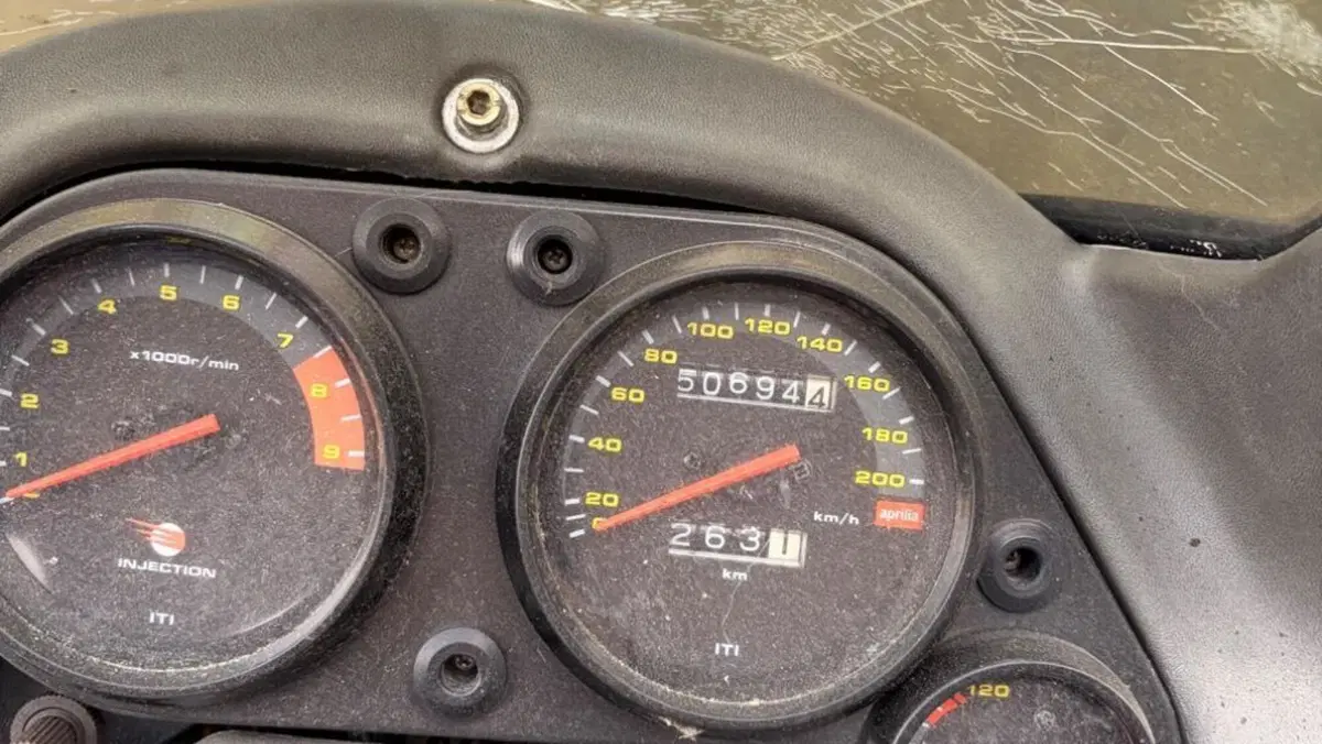 Aprilia Pegaso 650 IE (2001 - 02)  (4)
