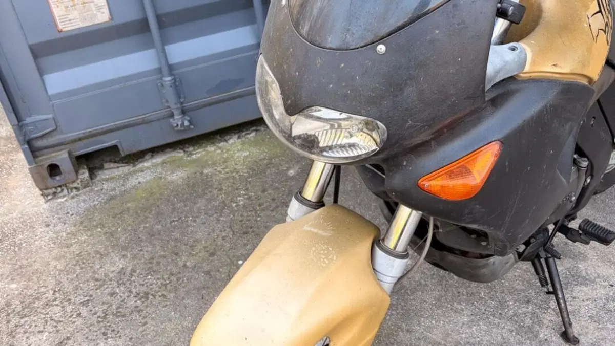 Aprilia Pegaso 650 IE (2001 - 02)  (5)