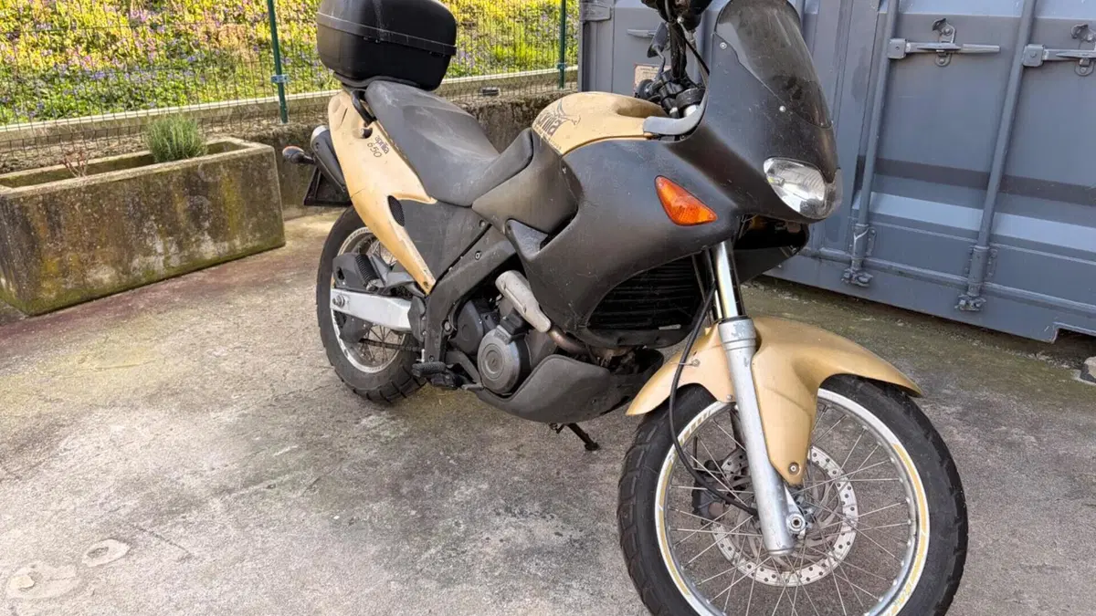 Aprilia Pegaso 650 IE (2001 - 02)  (6)