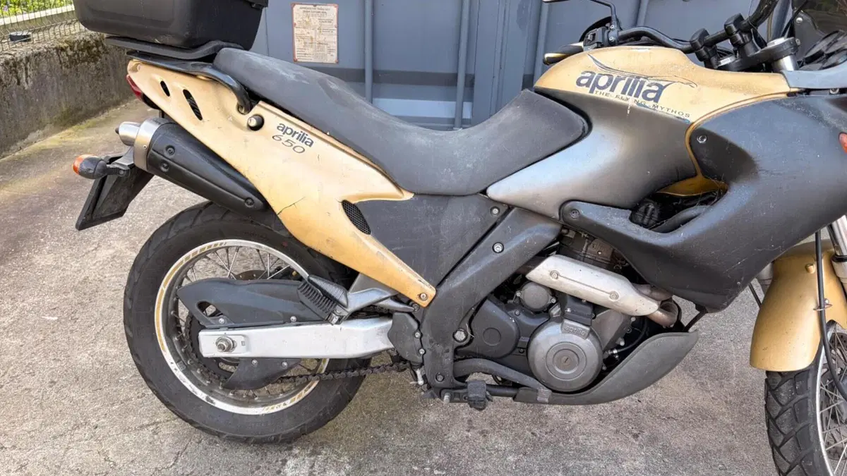 Aprilia Pegaso 650 IE (2001 - 02)  (7)