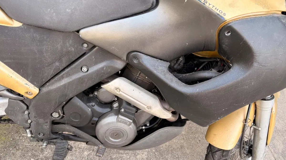 Aprilia Pegaso 650 IE (2001 - 02)  (8)
