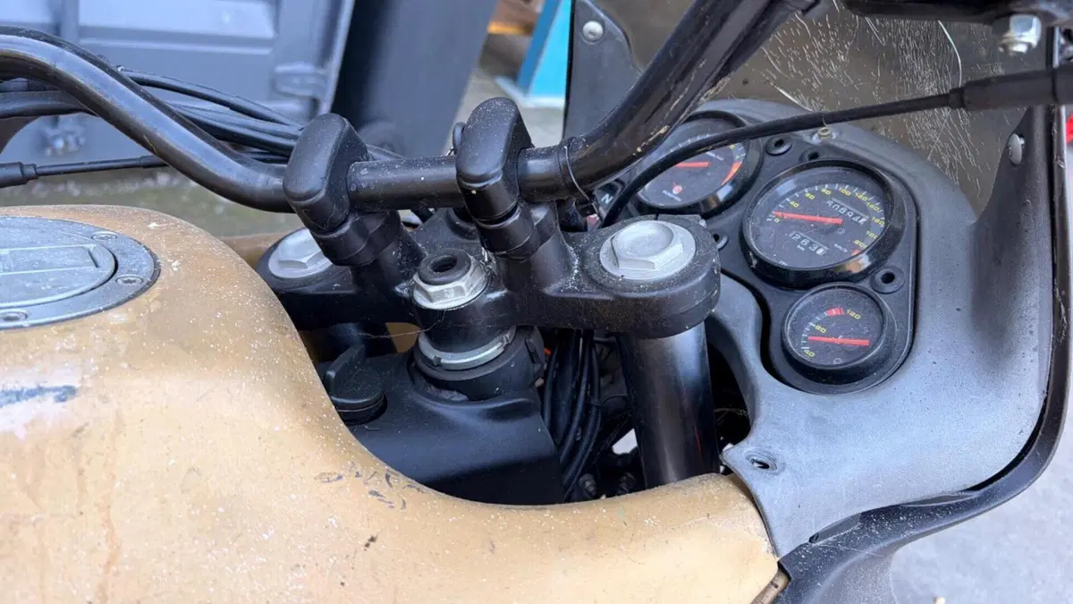 Aprilia Pegaso 650 IE (2001 - 02)  (9)