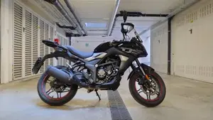 Voge Valico 300DS (2020)  (2)