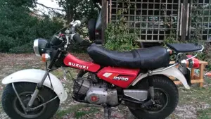 Suzuki   (2)