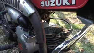 Suzuki   (9)