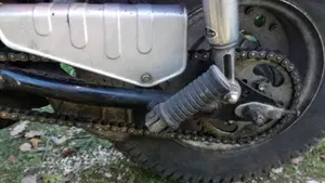 Suzuki   (12)