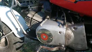 Suzuki   (13)