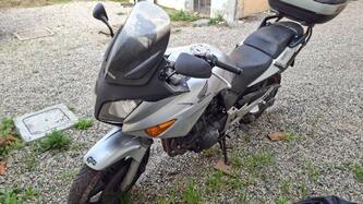 Honda CBF 600 (2004 - 06) usata