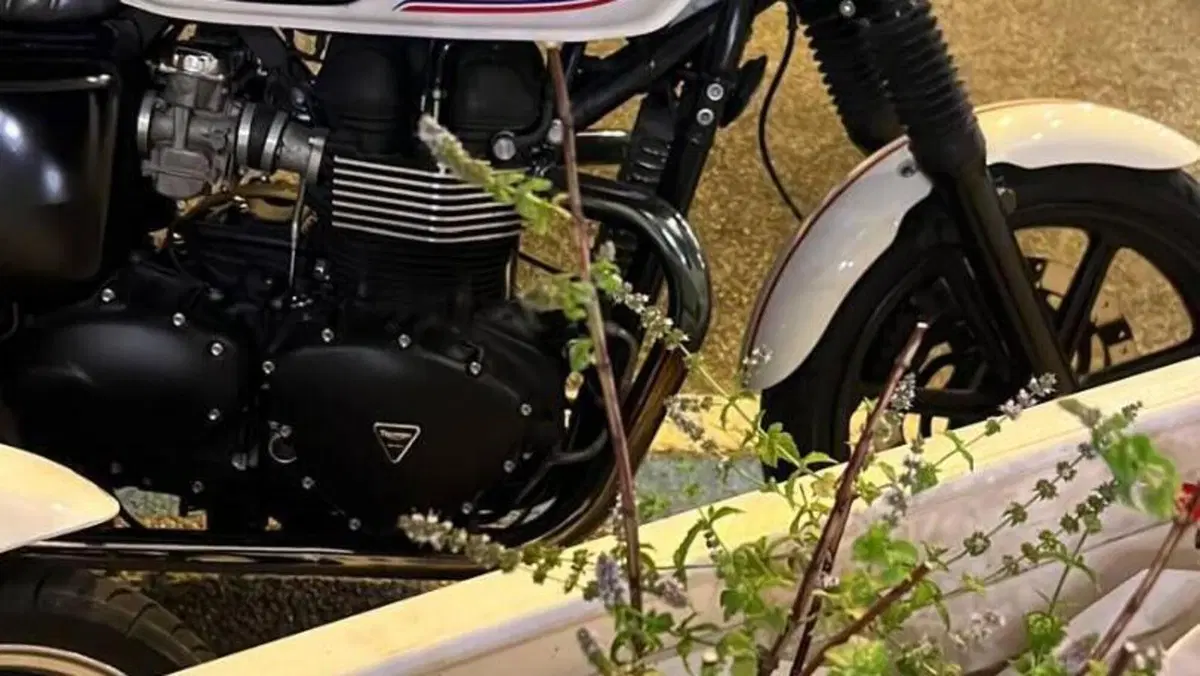 Triumph Bonneville SE (2009 - 13)  (3)