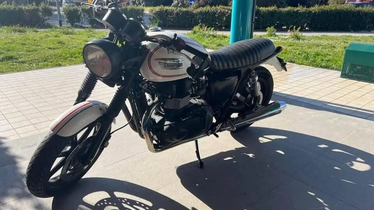 Triumph Bonneville SE (2009 - 13)  (5)